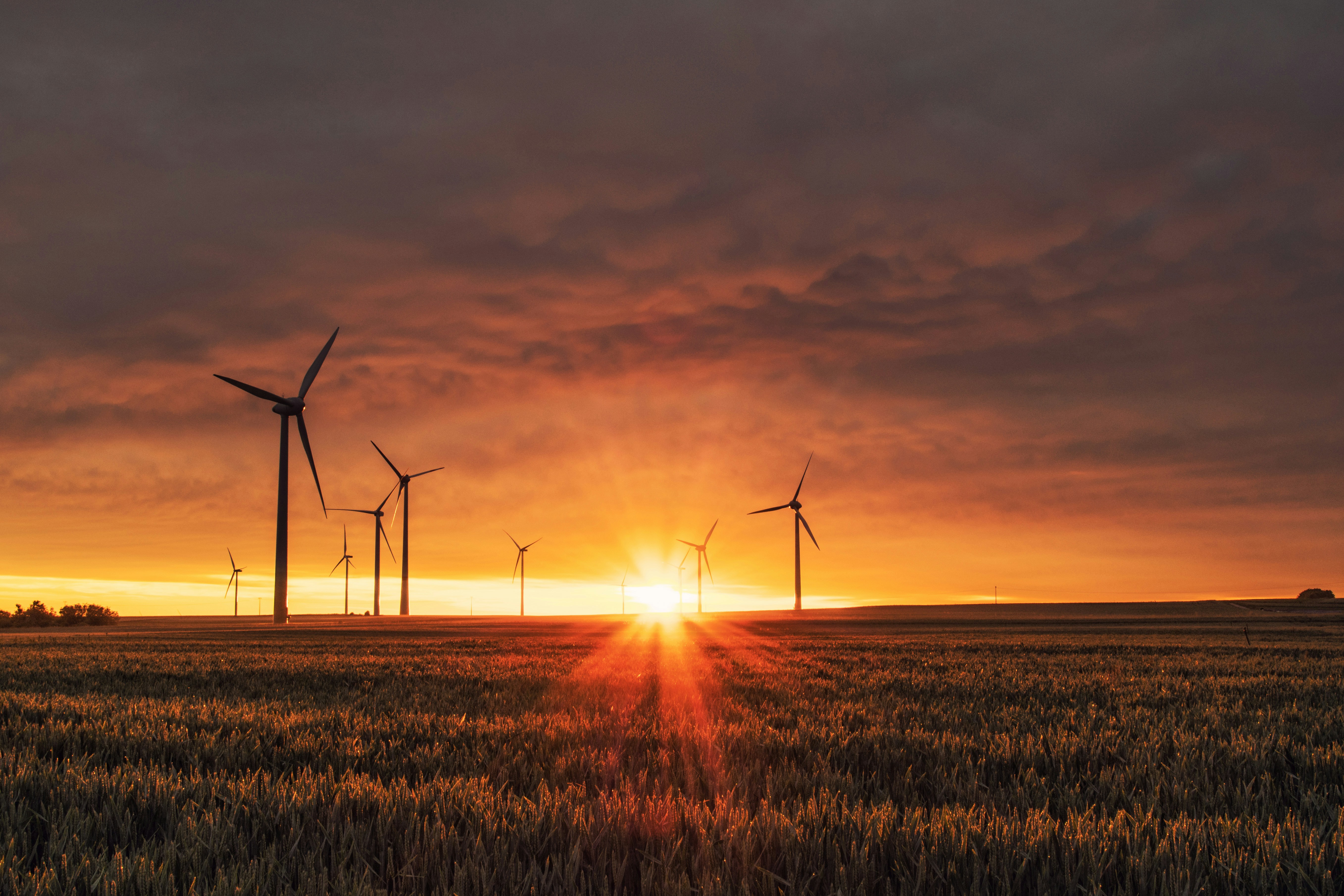 Certificações para Empresas Sustentáveis